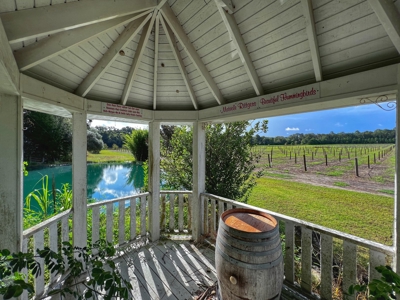 Looking To Create A Nursery Or Maybe A Grape Farm? - image 28