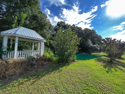 Looking To Create A Nursery Or Maybe A Grape Farm? - image 31