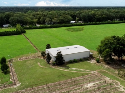 Looking To Create A Nursery Or Maybe A Grape Farm? - image 15