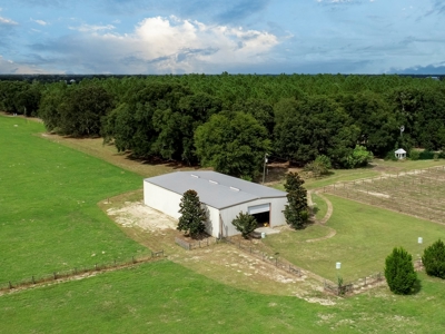 Looking To Create A Nursery Or Maybe A Grape Farm? - image 34