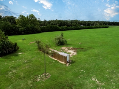 Looking To Create A Nursery Or Maybe A Grape Farm? - image 26