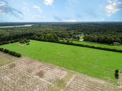 Looking To Create A Nursery Or Maybe A Grape Farm? - image 36