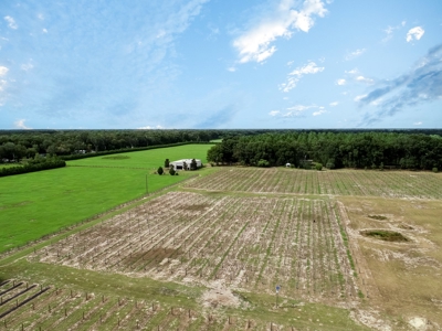 Looking To Create A Nursery Or Maybe A Grape Farm? - image 27