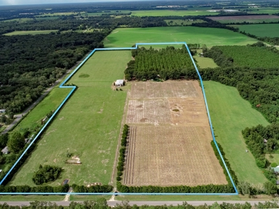 Looking To Create A Nursery Or Maybe A Grape Farm? - image 39