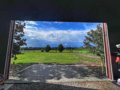 Looking To Create A Nursery Or Maybe A Grape Farm? - image 19