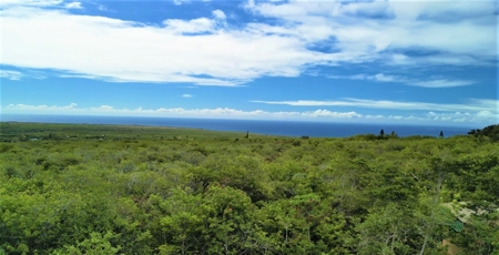 Amazing ocean view property nestled in tropical Hawaii - image 1