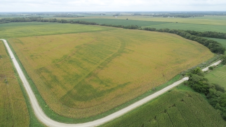 Moniteau County Land Auction (Scherr Family) - image 8