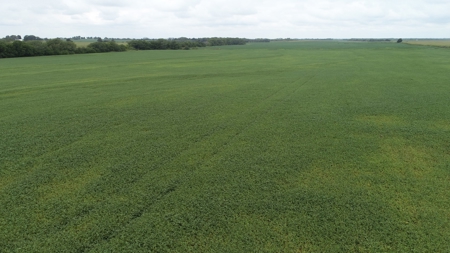 Moniteau County Land Auction (Scherr Family) - image 18
