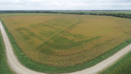 Moniteau County Land Auction (Scherr Family) - image 9