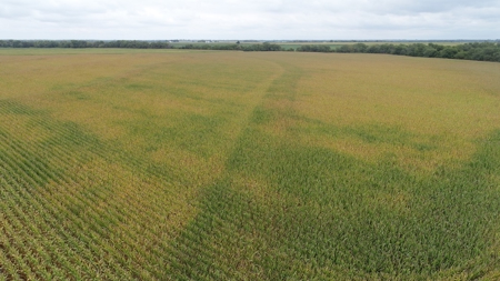 Moniteau County Land Auction (Scherr Family) - image 10