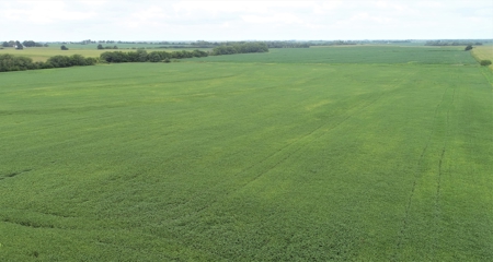 Moniteau County Land Auction (Scherr Family) - image 5