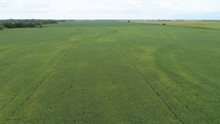 Moniteau County Land Auction (Scherr Family) - image 6