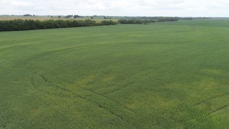 Moniteau County Land Auction (Scherr Family) - image 19