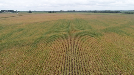 Moniteau County Land Auction (Scherr Family) - image 11