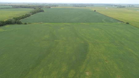 Moniteau County Land Auction (Scherr Family) - image 15