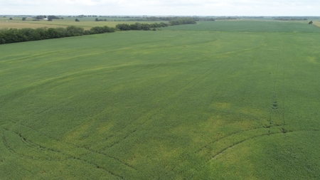 Moniteau County Land Auction (Scherr Family) - image 20