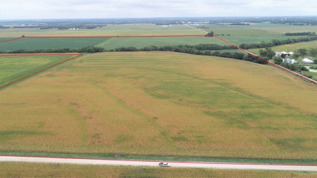 Moniteau County Land Auction (Scherr Family) - image 4