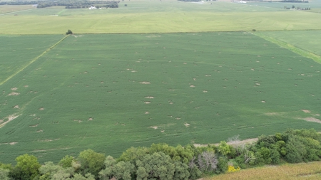 Moniteau County Land Auction (Scherr Family) - image 17