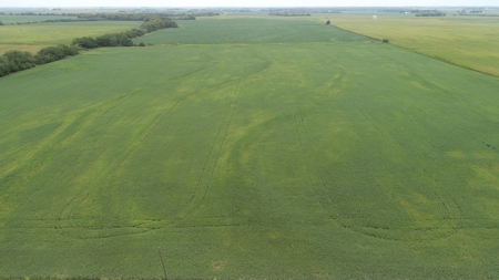 Moniteau County Land Auction (Scherr Family) - image 1