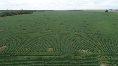 Moniteau County Land Auction (Scherr Family) - image 16