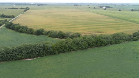 Moniteau County Land Auction (Scherr Family) - image 14