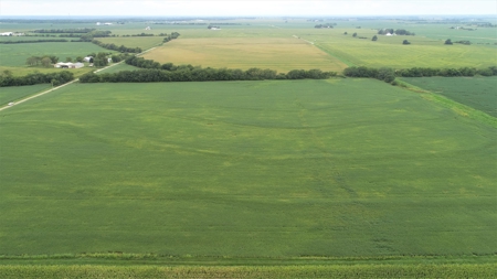 Moniteau County Land Auction (Scherr Family) - image 2