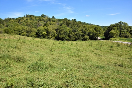 Cattle Farm, Timber, Hunting, Bldg Sites, Ponds, Frontage - image 32