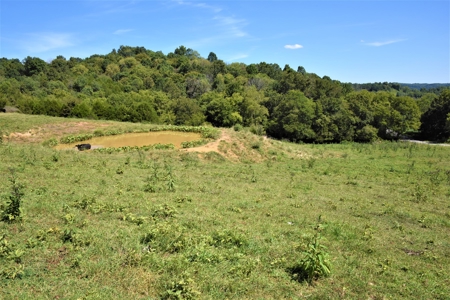 Cattle Farm, Timber, Hunting, Bldg Sites, Ponds, Frontage - image 34