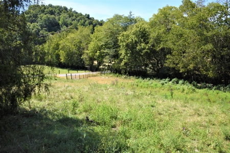 Cattle Farm, Timber, Hunting, Bldg Sites, Ponds, Frontage - image 9