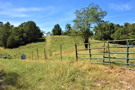 Cattle Farm, Timber, Hunting, Bldg Sites, Ponds, Frontage - image 21