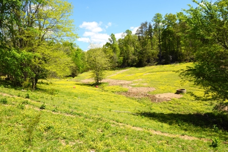 Cattle Farm, Timber, Hunting, Bldg Sites, Ponds, Frontage - image 40