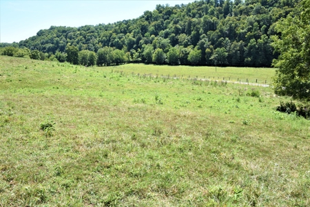 Cattle Farm, Timber, Hunting, Bldg Sites, Ponds, Frontage - image 7