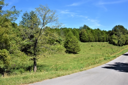 Cattle Farm, Timber, Hunting, Bldg Sites, Ponds, Frontage - image 30