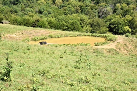 Cattle Farm, Timber, Hunting, Bldg Sites, Ponds, Frontage - image 33