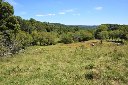 Cattle Farm, Timber, Hunting, Bldg Sites, Ponds, Frontage - image 26