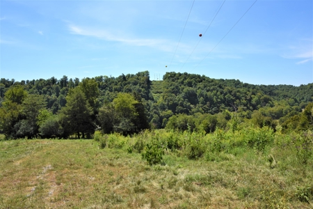 Cattle Farm, Timber, Hunting, Bldg Sites, Ponds, Frontage - image 12