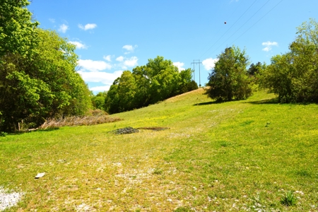 Cattle Farm, Timber, Hunting, Bldg Sites, Ponds, Frontage - image 43