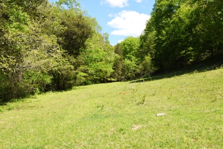 Cattle Farm, Timber, Hunting, Bldg Sites, Ponds, Frontage - image 45