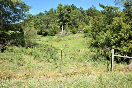 Cattle Farm, Timber, Hunting, Bldg Sites, Ponds, Frontage - image 29