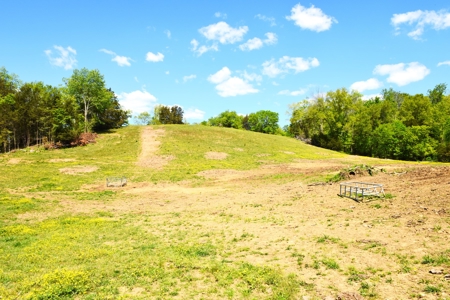 Cattle Farm, Timber, Hunting, Bldg Sites, Ponds, Frontage - image 42