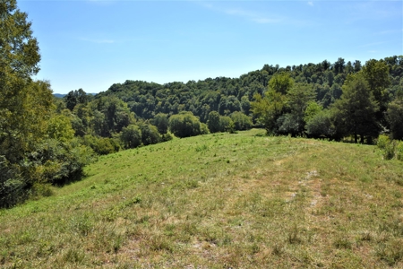 Cattle Farm, Timber, Hunting, Bldg Sites, Ponds, Frontage - image 11