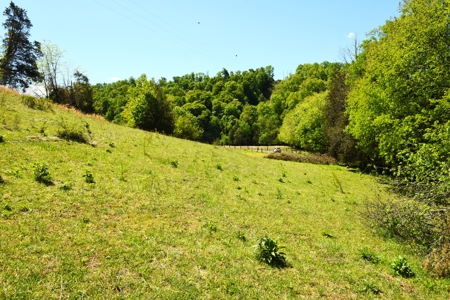 Cattle Farm, Timber, Hunting, Bldg Sites, Ponds, Frontage - image 36