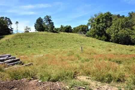 Cattle Farm, Timber, Hunting, Bldg Sites, Ponds, Frontage - image 24