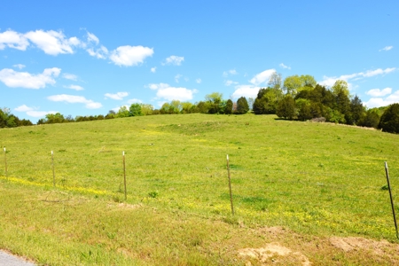 Cattle Farm, Timber, Hunting, Bldg Sites, Ponds, Frontage - image 37