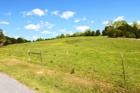 Cattle Farm, Timber, Hunting, Bldg Sites, Ponds, Frontage - image 39
