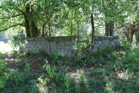 Cattle Farm, Timber, Hunting, Bldg Sites, Ponds, Frontage - image 27