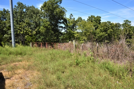 Cattle Farm, Timber, Hunting, Bldg Sites, Ponds, Frontage - image 14