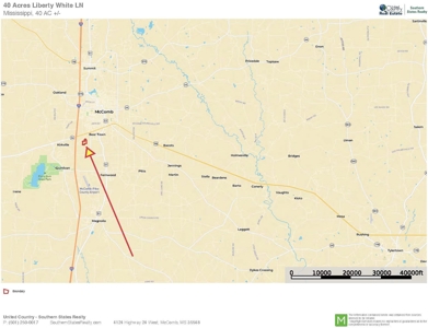 Pine Timberland for sale in Pike County MS - image 7