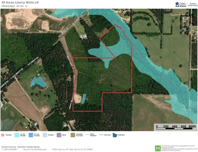 Pine Timberland for sale in Pike County MS - image 10