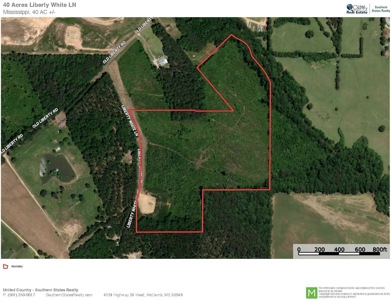 Pine Timberland for sale in Pike County MS - image 8